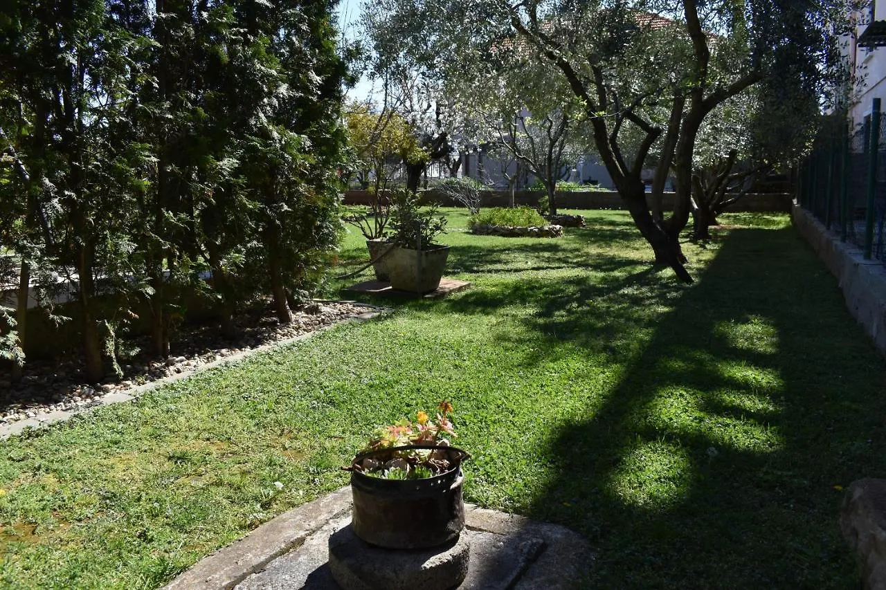 Apartment Apartman Dodo Zadar